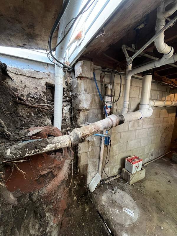 Exposed deteriorated block wall with root intrusion after excavation — Olathe, KS