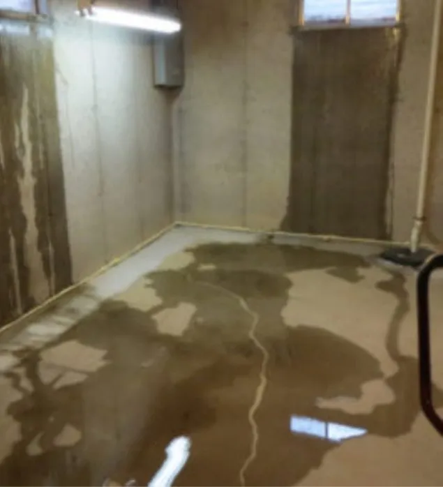 Standing water in flooded basement before repair